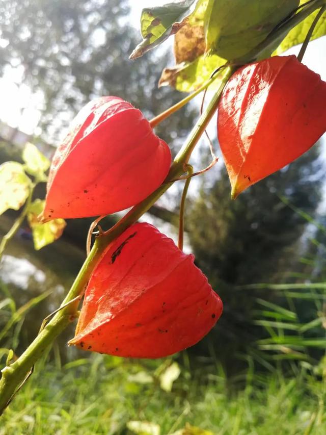 如何与孩子共同践行行万里路，读万卷书