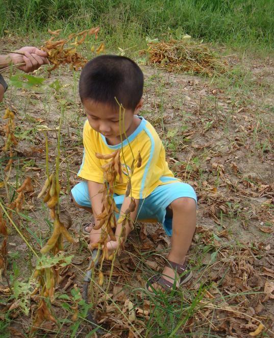 养娃的18个暖心瞬间，有你爱我，才是人间值得