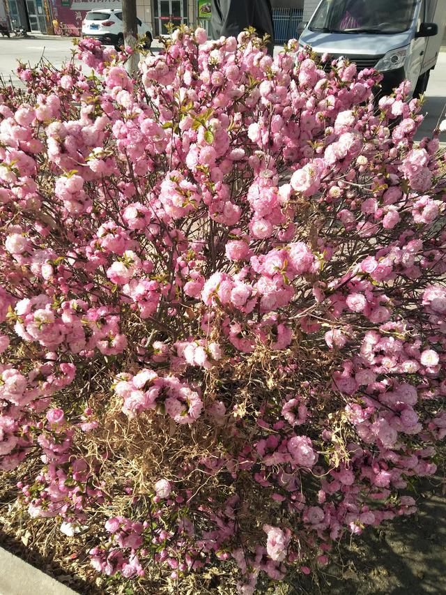 健康饮食最关键