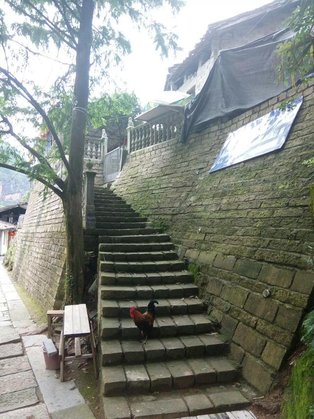 一個讓人流連忘返的旅行度假聖地——龍虎山