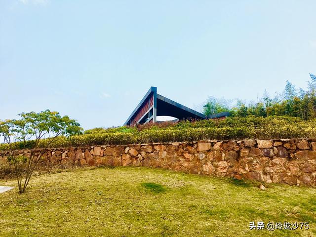長沙唯一擁有戶外足球場的公園，更有大片水杉美景等你來