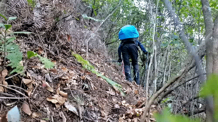 南嶺山脈，一次出行登頂廣東最高前六峰讓驢友自豪一生