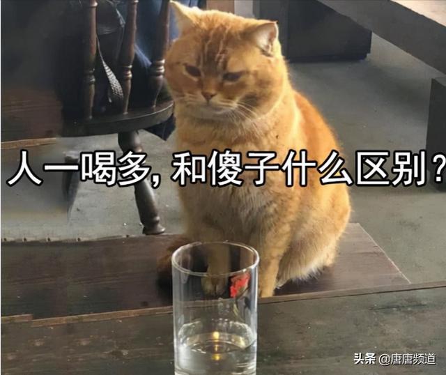 今日科技热点：印度还能要脸吗？明目张胆偷北京大兴机场图炫耀？