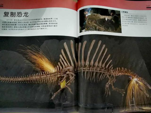 关于博物馆的三个愿望