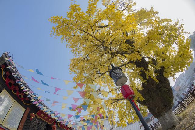 最新最全！國家曆史文化名鎮名單大全，共312個，建議收藏（上）