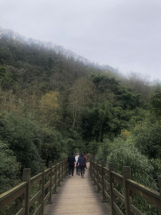 一不小心又成了夜遊~周末街子古鎮康道徒步到光嚴禅院~腳都走麻了