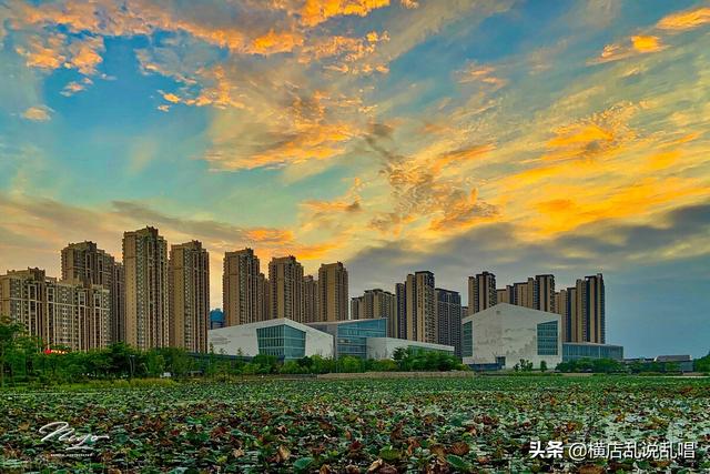 广东佛山楼市的危机，南海区、顺德区、三水区楼市潜力与未来