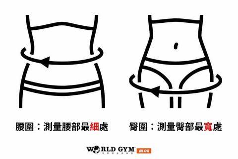 黄金比例身材怎么算腰臀比黄金比例是多少