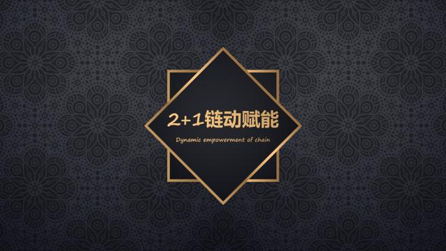分销商城:美丽天天秒的2+1链动奖励模式
