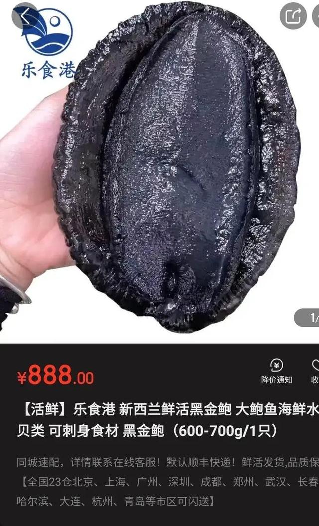 一早上撿了20萬的鮑魚~雖然免費撿，但這也太過分了……（二）