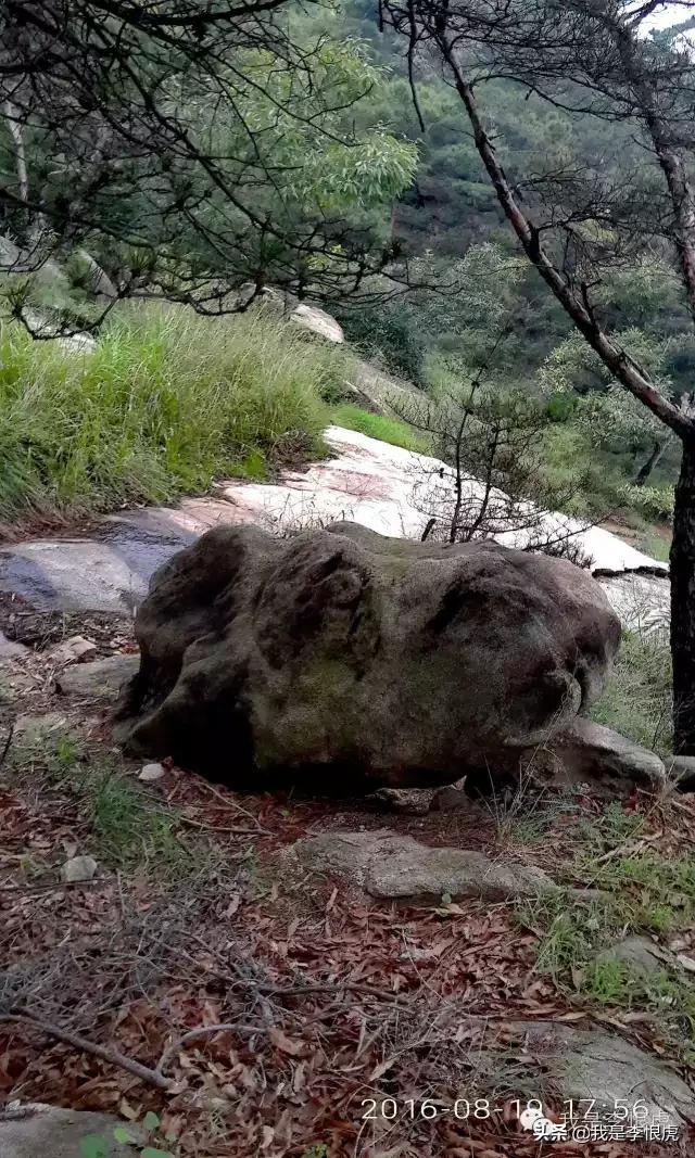 蓮花山：小泰山確非浪得虛名