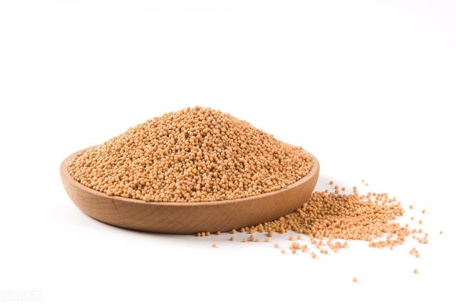 四肢麻木、浑身疼痛？七味药，大补肝肾、温阳通脉、舒筋活络