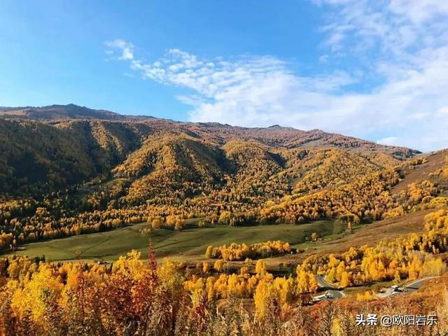 風景在路上！國內最經典的8條親子自駕遊線路，總有一條適合你