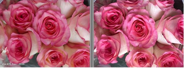 iPhone13ProMax与vivoX70Pro+影像对比，这次国产影像没输