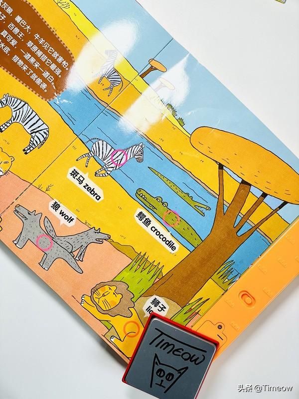 与娃共读-盘一盘半年内买过的好绘本