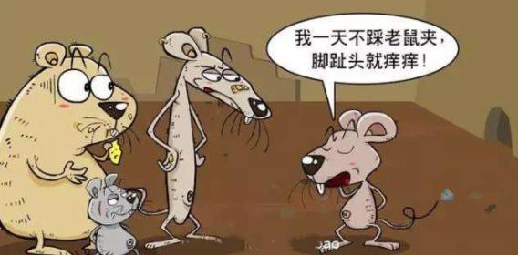 孩子吹牛怎么办，这位妈妈做法值得点赞，堪称现代版“曾子烹彘”