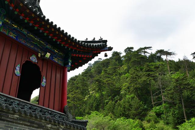 五台山鎮海寺導遊詞