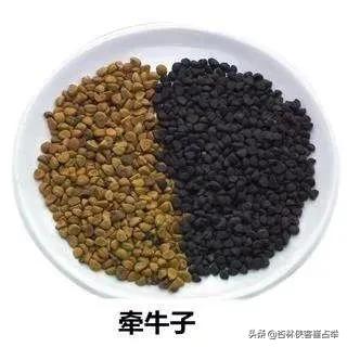 百消丸、消百积，横扫食、滞、气、痰、痞、胀、肿、疼等各种实证