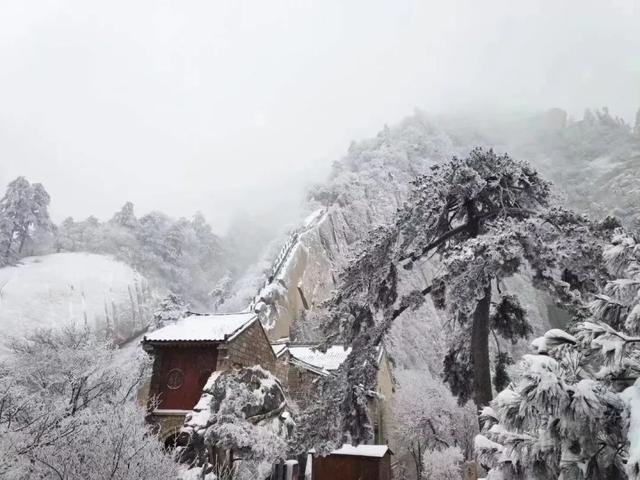 傳奇華山 | 這是一塊會講故事的石頭
