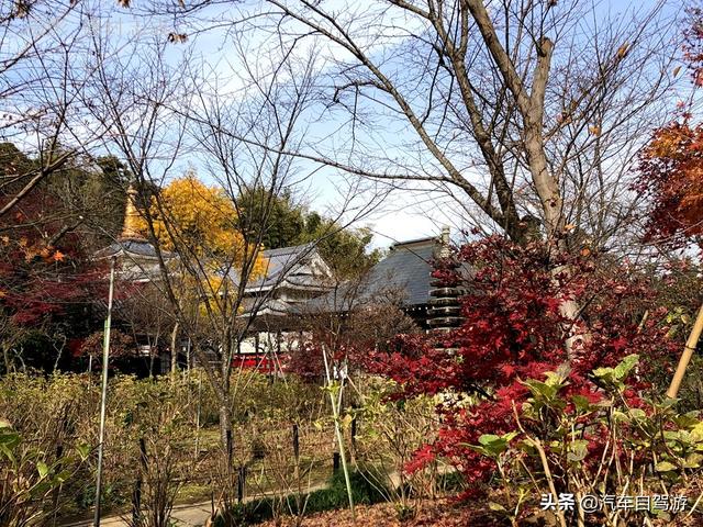 德村志成：落葉殘楓依然美麗，久違北小金本土寺
