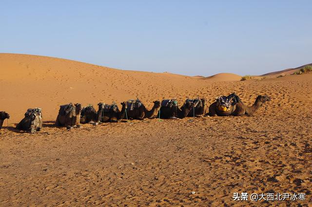 跟著三毛的足迹一起走進撒哈拉沙漠（圖）