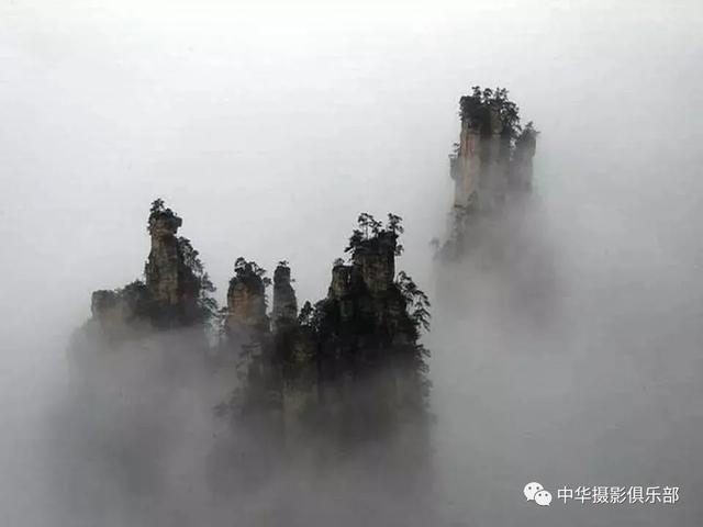 太美了！金奖摄影作品欣赏——