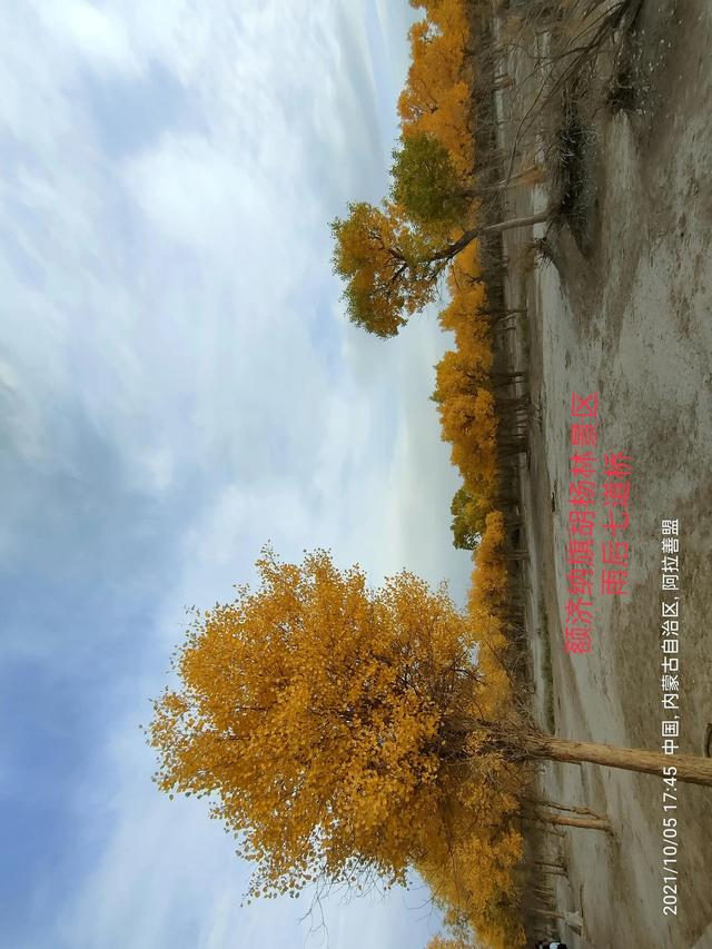 西行漫記之10月5日內蒙古篇