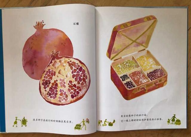 有哪些适合3岁孩子阅读的科普绘本？