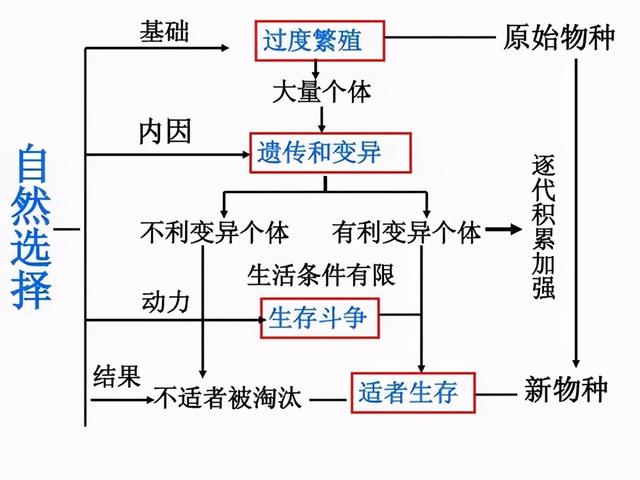 人間煉獄！巴西蛇島每平方米5條蛇，一家五口上島守燈塔慘遭滅門