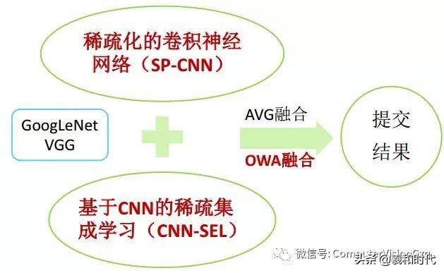 稀疏&集成的卷积神经网络学习