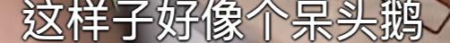 廣州股牛炒股配資 廣州股牛炒股配資