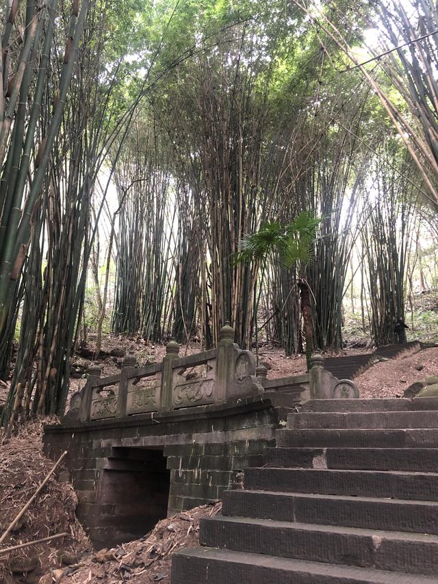 一不小心又成了夜遊~周末街子古鎮康道徒步到光嚴禅院~腳都走麻了