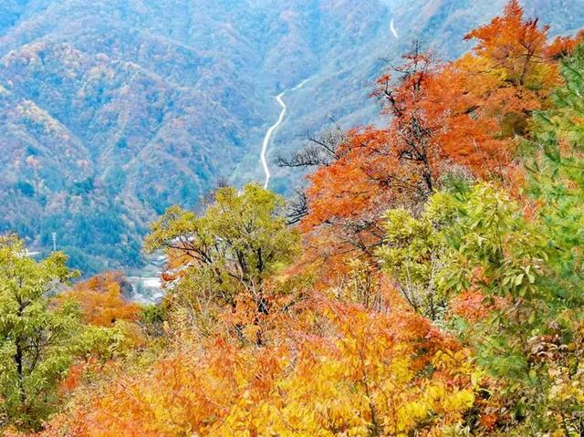 冬日，重慶美景圖鑒