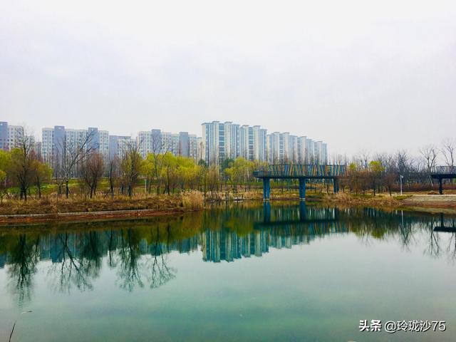 長沙唯一擁有戶外足球場的公園，更有大片水杉美景等你來