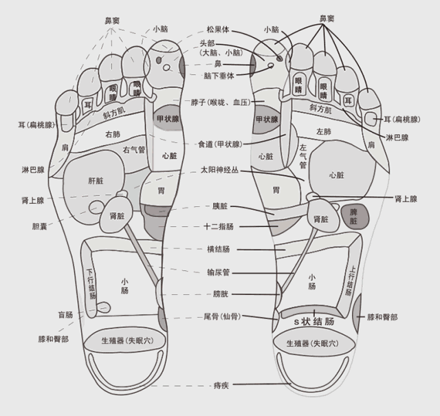 冷从jio下寒，寒为百病之源，做好这些，没有一个冬天不可逾越！