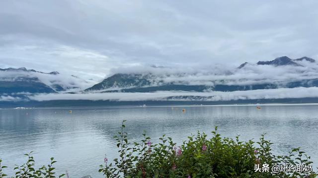夢幻荒野阿拉斯加（14）Valdez看熊抓魚和三文魚洄遊
