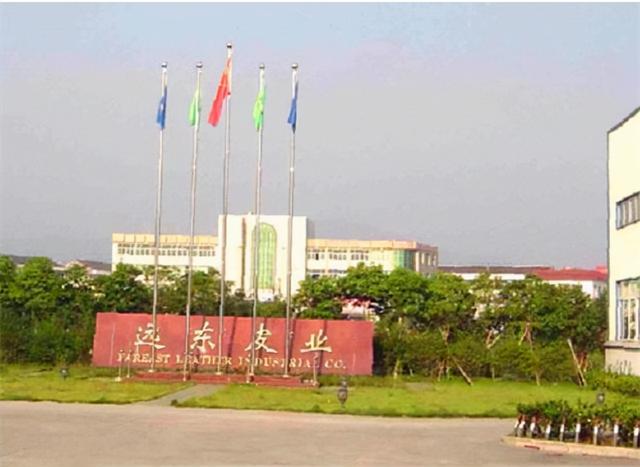 王敏：温州“皮革大王”，为夺亿万资产，家人联手送他进精神病院