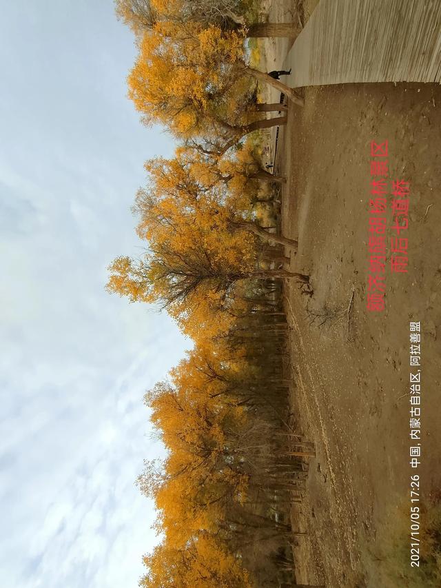 西行漫記之10月5日內蒙古篇