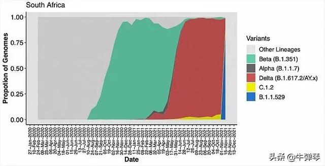 中国，别慌！有关超级变种的10个最新情况