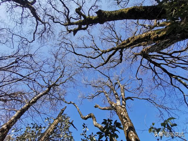 南嶺山脈，一次出行登頂廣東最高前六峰讓驢友自豪一生