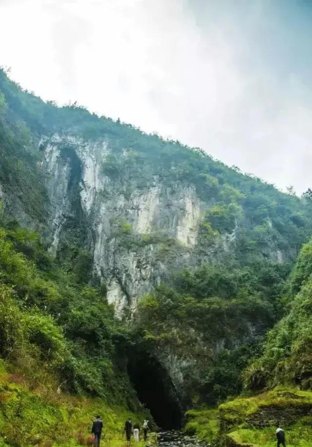 血戰邊城十一：湘西第一惡匪譚森，鑽山豹的原型人物，被部下劫殺