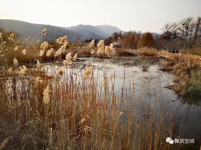 房山牛口峪濕地公園，沒想到風景如此優美