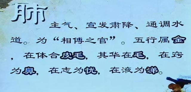 7种白色食物，滋阴润肺，止咳化痰，清肺毒！家中有老烟民要常备