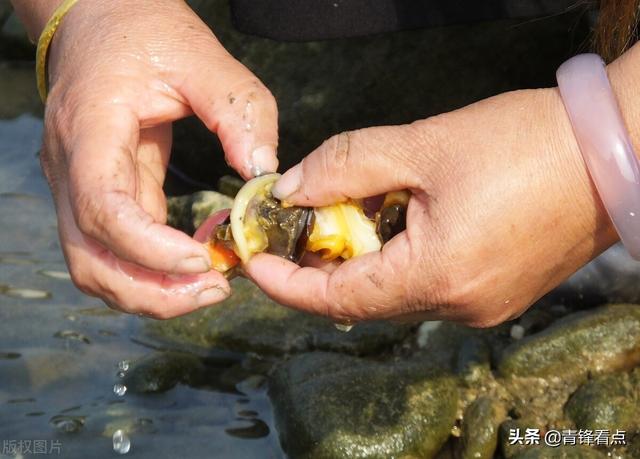 螺蛳粉“吃出虫卵”：事件发酵为何会超乎常态？