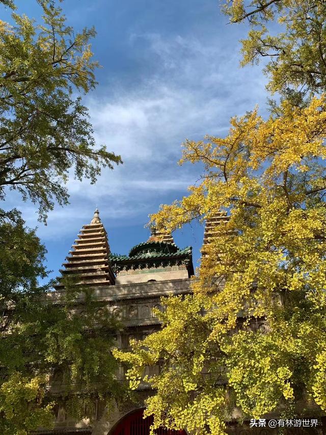 跟著有林遊北京之真覺寺