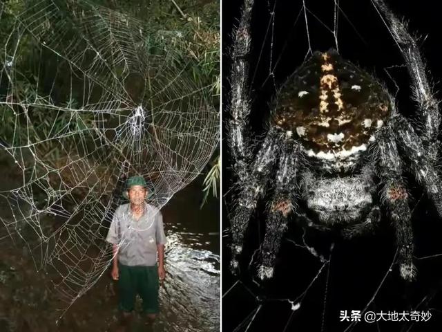佤邦現狀，帶你看看真實的佤邦