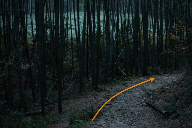 杭州登山徒步路線17：野路有趣，但不建議盲目去爬