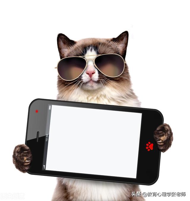 家庭教育的四大神奇定律