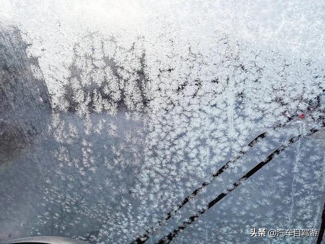 大唐鹿野苑，來自冬日裏的一份思念（附自駕遊行車線路圖）