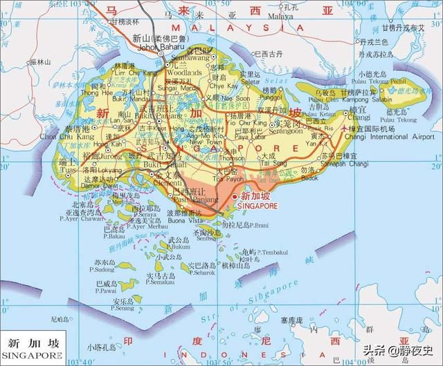 反华是工作，亲美是生活？华人国家新加坡为何成为反华急先锋？